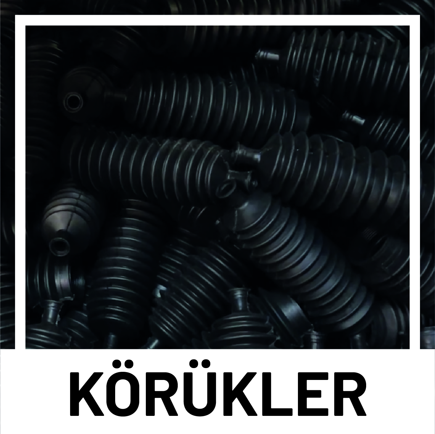 Körükler